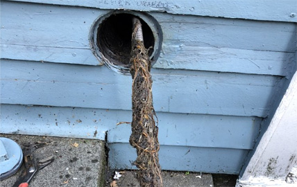 On-Site: Cutting Roots Out of a 1960s Clay Sewer Line